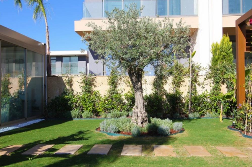 BODRUM SERİNA EVLERİ MÜSTAKİL HAVUZLU 3+1 VİLLA DENİZE 5 DK.