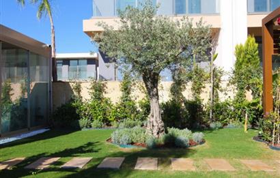 BODRUM SERİNA EVLERİ MÜSTAKİL HAVUZLU 3+1 VİLLA DENİZE 5 DK.