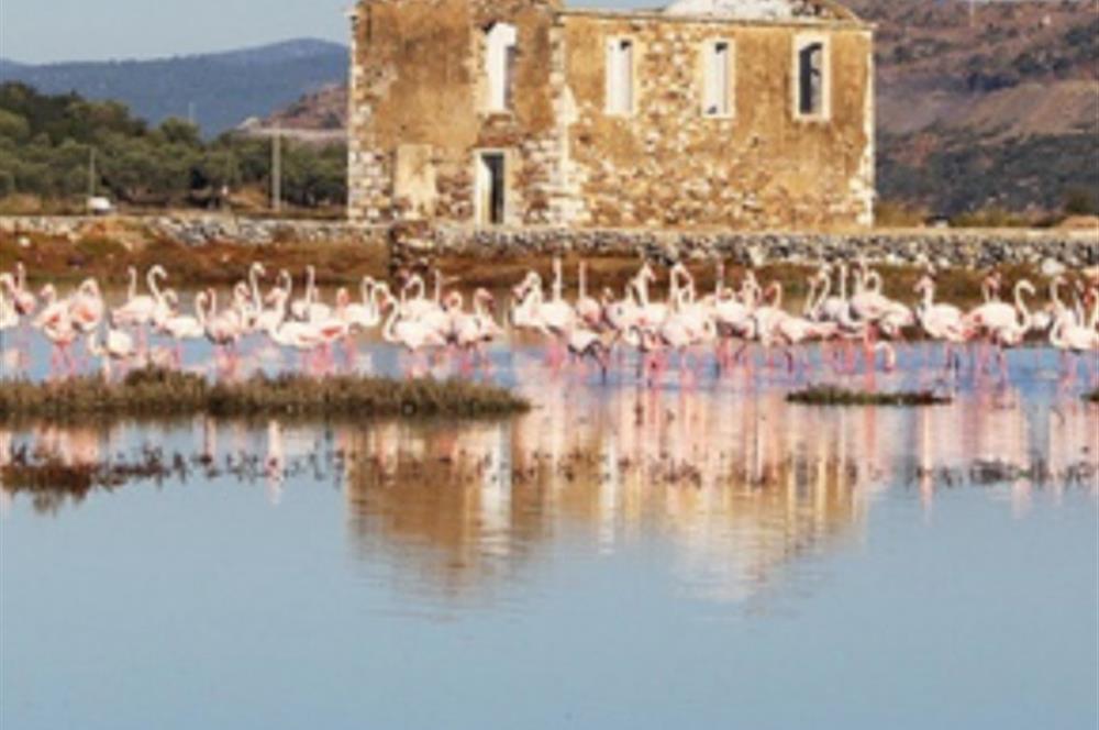 BODRUM SERİNA EVLERİ MÜSTAKİL HAVUZLU 3+1 VİLLA DENİZE 5 DK.