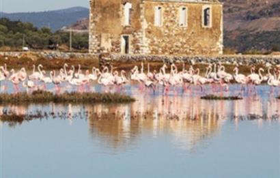 BODRUM SERİNA EVLERİ MÜSTAKİL HAVUZLU 3+1 VİLLA DENİZE 5 DK.