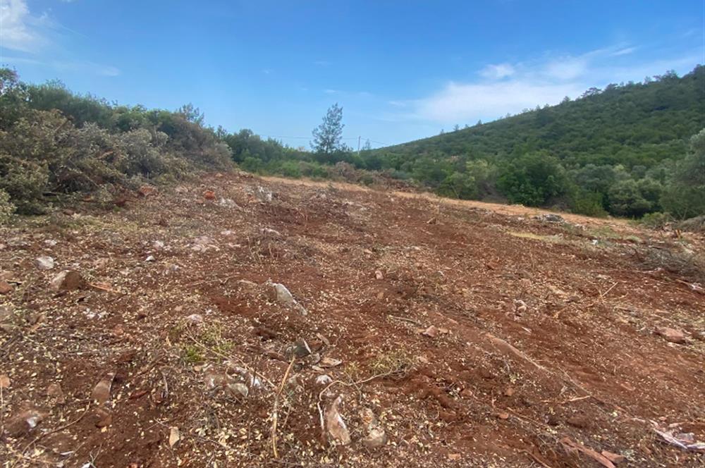 Kardelende 300 m2 villa arsası
