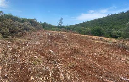 Kardelende 300 m2 villa arsası