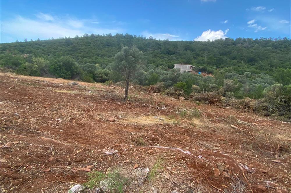 Kardelende 300 m2 villa arsası