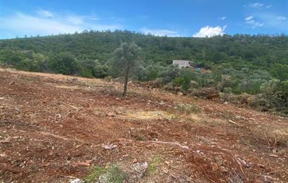 Kardelende 300 m2 villa arsası