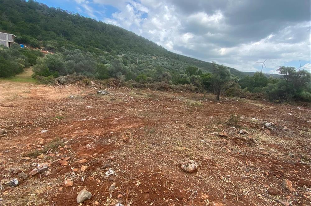 Kardelende 300 m2 villa arsası