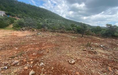 Kardelende 300 m2 villa arsası
