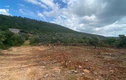 Kardelende 300 m2 villa arsası