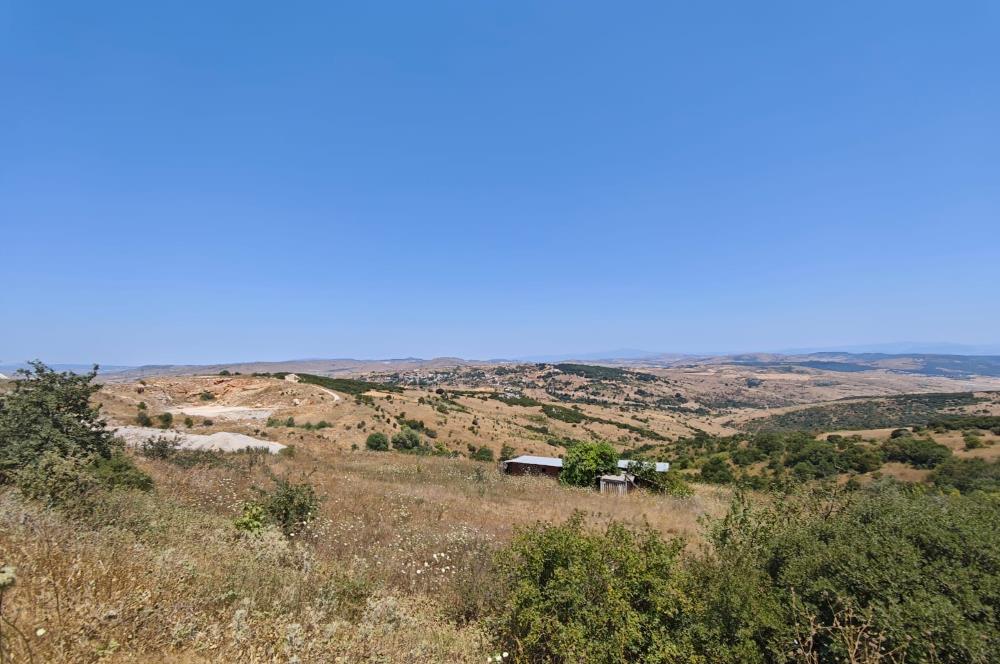 ZİYARETLİ MAHALLESİ SATILIK TARLA CENTRUY 21 BAL'DAN 