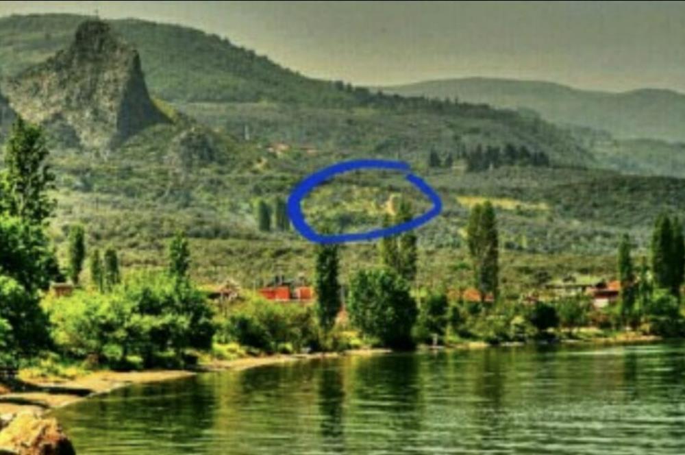 İZNİK GÖLLÜCEDE FIRSAT! GÖL MANZARALI ZEYTİNLİK..