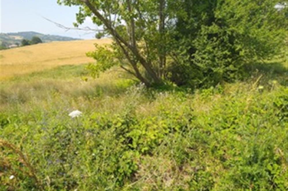 BURSA İNEGÖL TEKKE MAHALLESİ'NDE 983 m² SATILIK ARSA