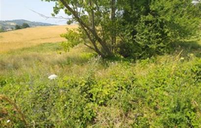 BURSA İNEGÖL TEKKE MAHALLESİ'NDE 983 m² SATILIK ARSA