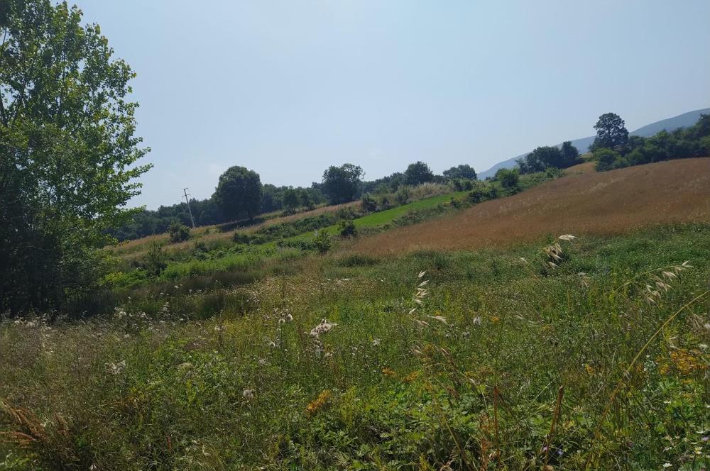 BURSA İNEGÖL TEKKE MAHALLESİ'NDE 983 m² SATILIK ARSA