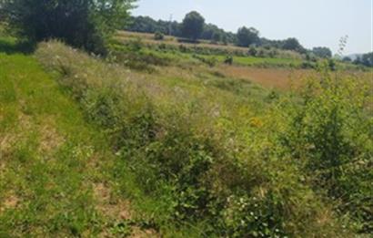 BURSA İNEGÖL TEKKE MAHALLESİ'NDE 983 m² SATILIK ARSA