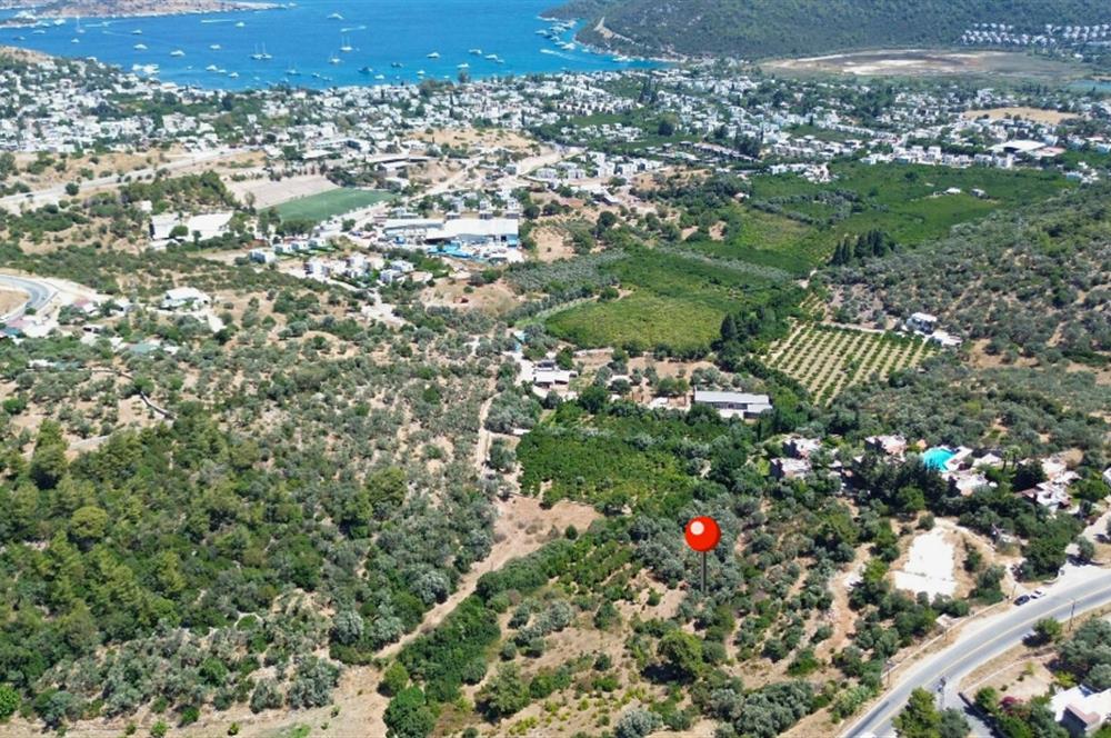 BODRUM GÖLKÖY'DE SATILIK BAĞ-BAHÇE !