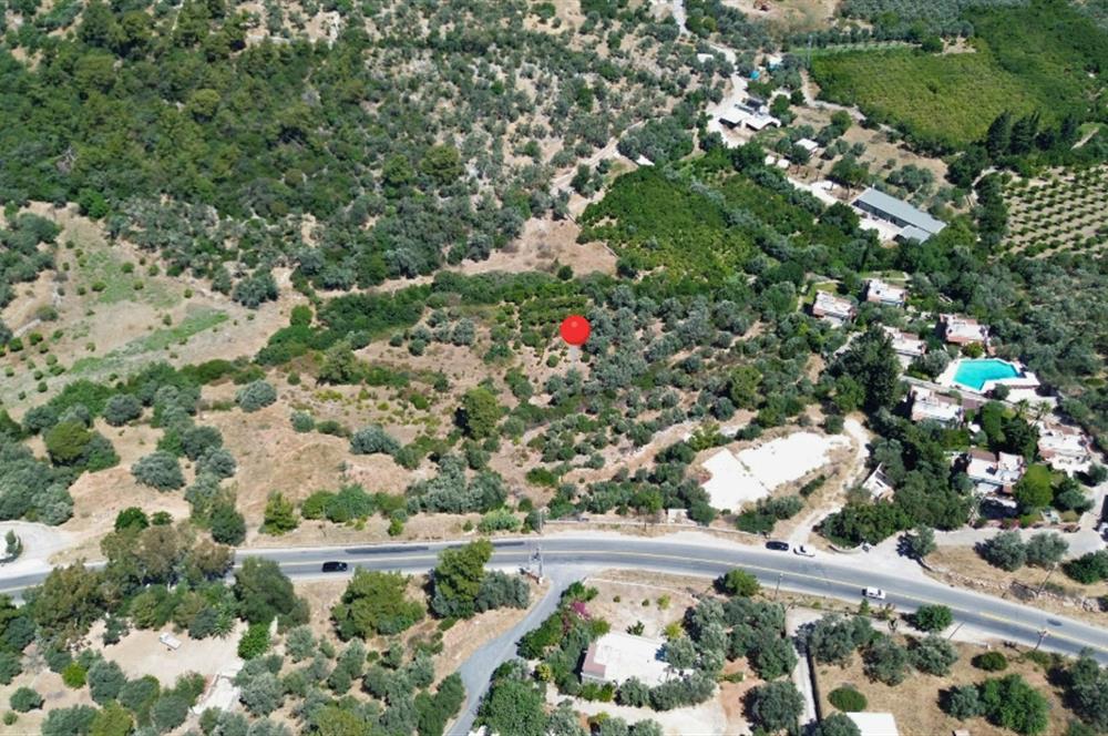 BODRUM GÖLKÖY'DE SATILIK BAĞ-BAHÇE !