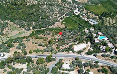 BODRUM GÖLKÖY'DE SATILIK BAĞ-BAHÇE !