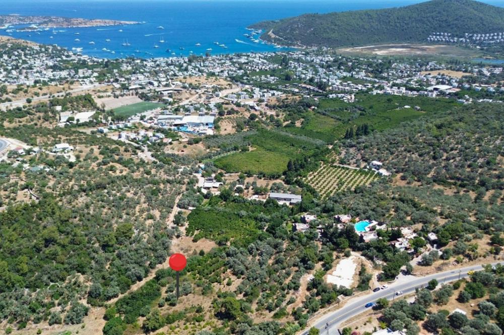BODRUM GÖLKÖY'DE SATILIK BAĞ-BAHÇE !