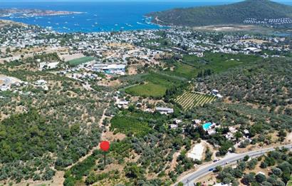 BODRUM GÖLKÖY'DE SATILIK BAĞ-BAHÇE !