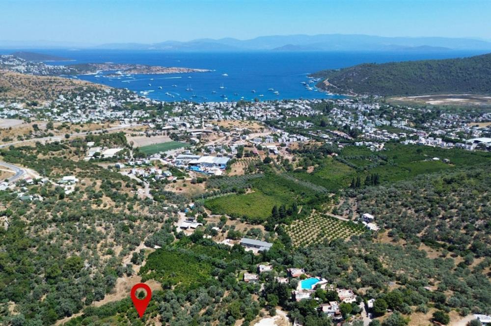 BODRUM GÖLKÖY'DE SATILIK BAĞ-BAHÇE !