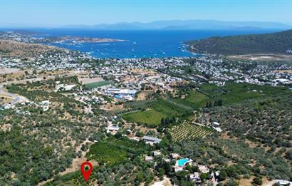 BODRUM GÖLKÖY'DE SATILIK BAĞ-BAHÇE !