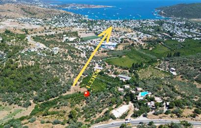 BODRUM GÖLKÖY'DE SATILIK BAĞ-BAHÇE !