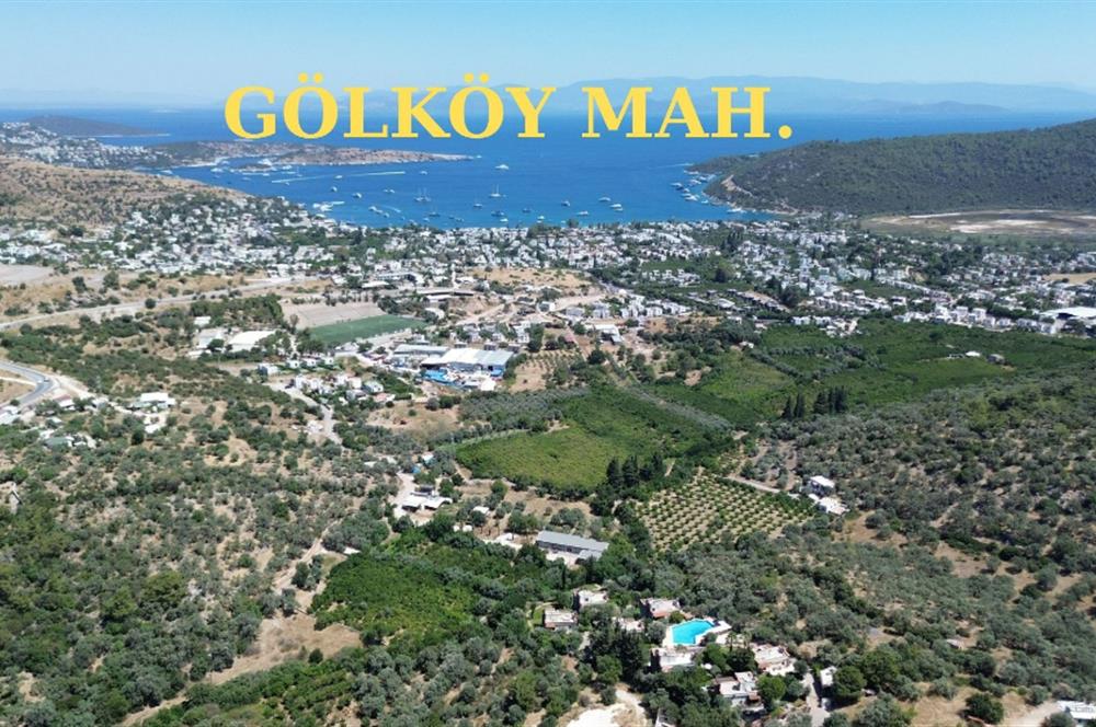 BODRUM GÖLKÖY'DE SATILIK BAĞ-BAHÇE !