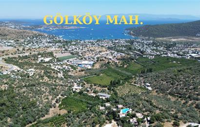 BODRUM GÖLKÖY'DE SATILIK BAĞ-BAHÇE !