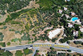 BODRUM GÖLKÖY'DE SATILIK BAĞ-BAHÇE ! - 1 - 35869