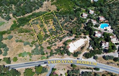 BODRUM GÖLKÖY'DE SATILIK BAĞ-BAHÇE !