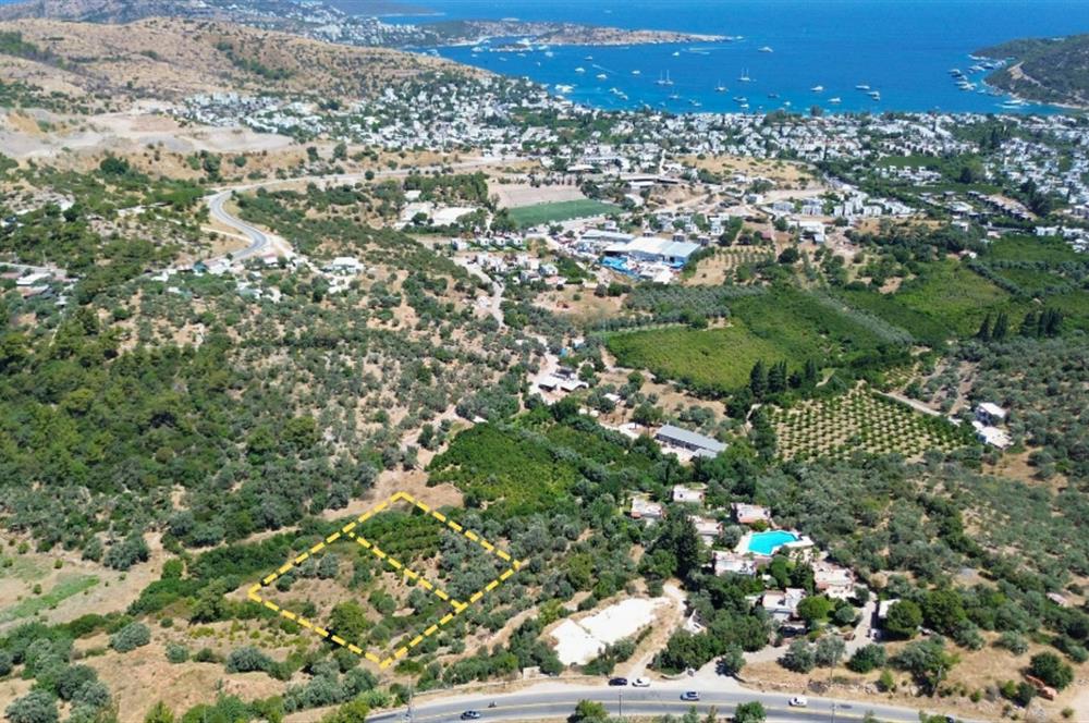 BODRUM GÖLKÖY'DE SATILIK BAĞ-BAHÇE !