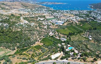 BODRUM GÖLKÖY'DE SATILIK BAĞ-BAHÇE !