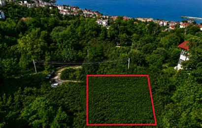 CENTURY21'DEN PERŞEMBE'DE İMARLI SATILIK ARSA 