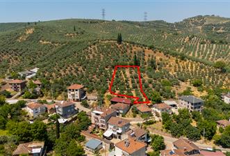 C21 Cius; Muratoba'da Köy Yerleşik Alanında 1.578 m² Arsa - 1 - 35935