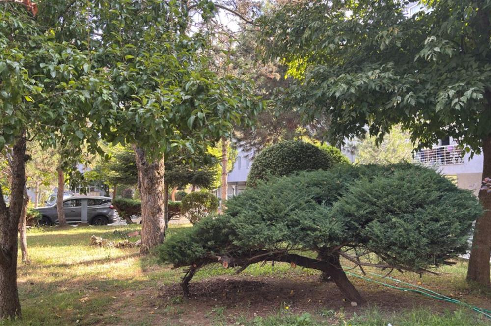 İstinye Boğaziçi Sitesi A Bloklarında Ara Kat 3+1 Kiralık Daire