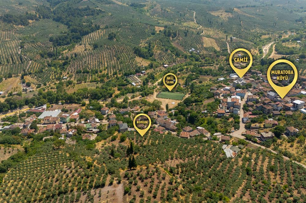 C21 Cius; Muratoba'da Köy Yerleşik Alanında 1.578 m² Arsa