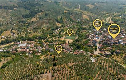 C21 Cius; Muratoba'da Köy Yerleşik Alanında 1.578 m² Arsa
