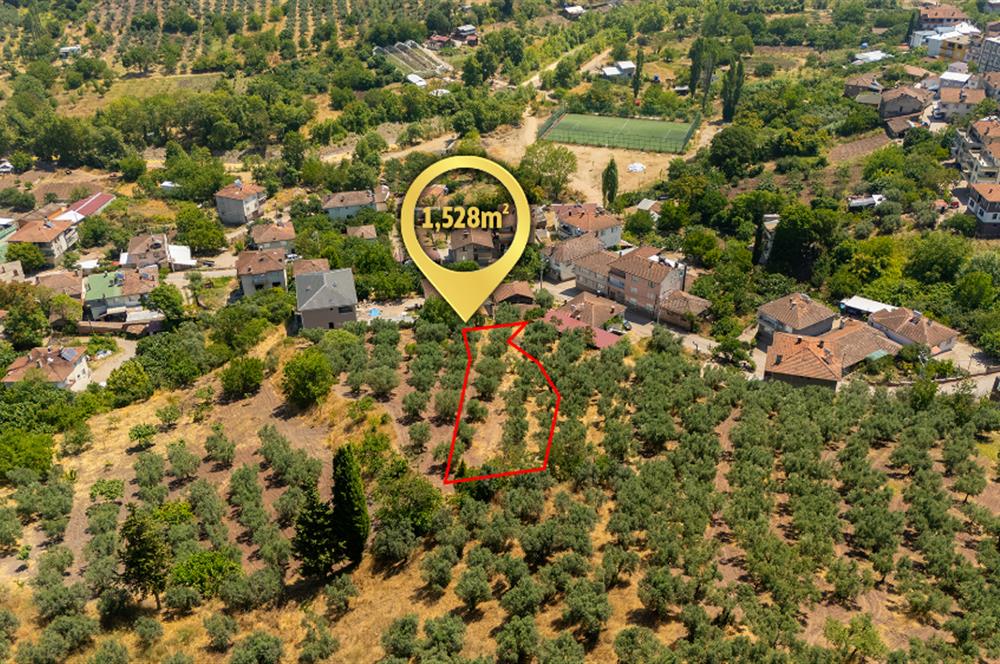 C21 Cius; Muratoba'da Köy Yerleşik Alanında 1.578 m² Arsa