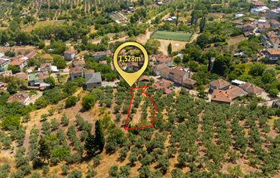 C21 Cius; Muratoba'da Köy Yerleşik Alanında 1.578 m² Arsa