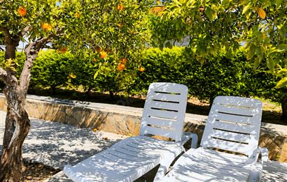 Bodrum Turgutreis Bahçelievler Satılık Bahçe Kat Daire