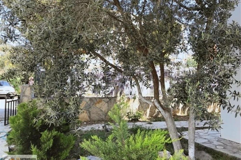 Bodrum Turgutreis Bahçelievler Satılık Bahçe Kat Daire