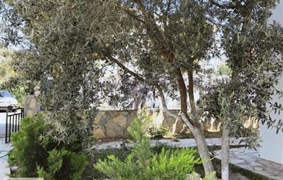 Bodrum Turgutreis Bahçelievler Satılık Bahçe Kat Daire