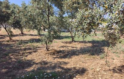 CENTURY21 POYRAZ'DAN MENDERES ÇAMÖNÜ'NDE SATILIK ARAZİ
