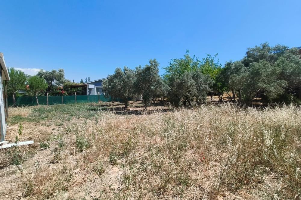 CENTURY21 POYRAZ'DAN MENDERES ÇAMÖNÜ'NDE SATILIK ARAZİ