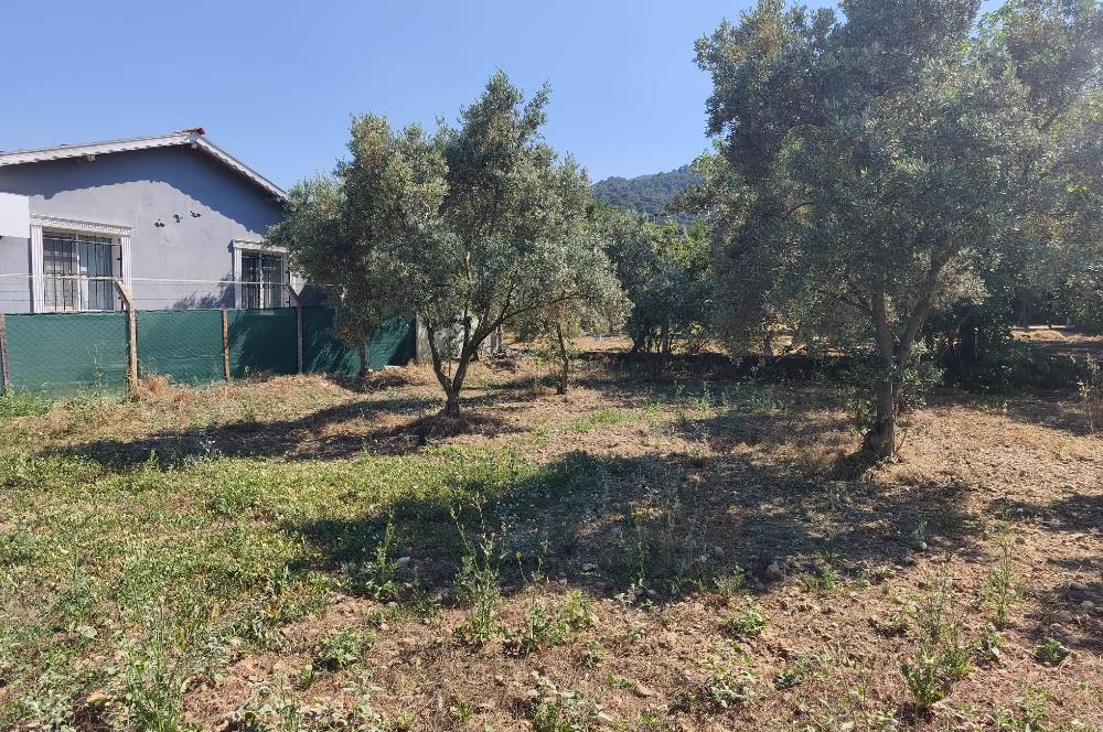 CENTURY21 POYRAZ'DAN MENDERES ÇAMÖNÜ'NDE SATILIK ARAZİ