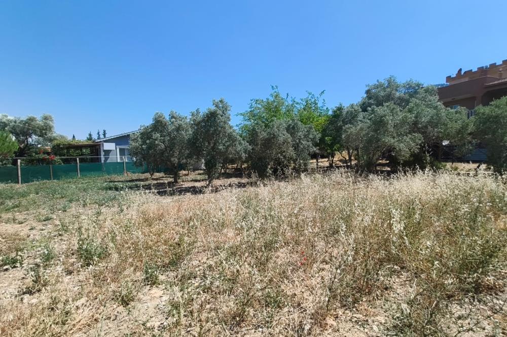 CENTURY21 POYRAZ'DAN MENDERES ÇAMÖNÜ'NDE SATILIK ARAZİ