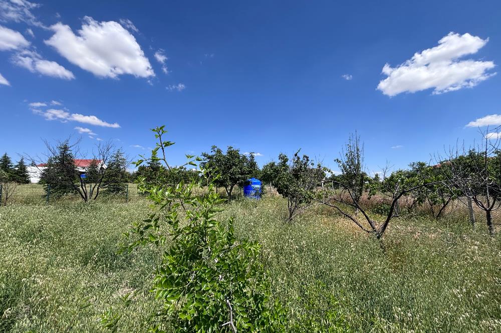 Ankara’da Toskana keyfi satılık 3+2 villa