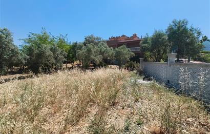 CENTURY21 POYRAZ'DAN MENDERES ÇAMÖNÜ'NDE SATILIK ARAZİ