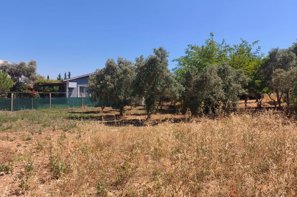 CENTURY21 POYRAZ'DAN MENDERES ÇAMÖNÜ'NDE SATILIK ARAZİ