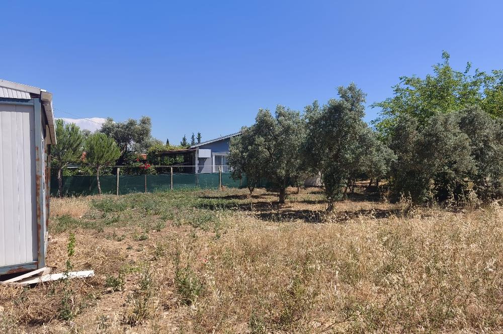 CENTURY21 POYRAZ'DAN MENDERES ÇAMÖNÜ'NDE SATILIK ARAZİ