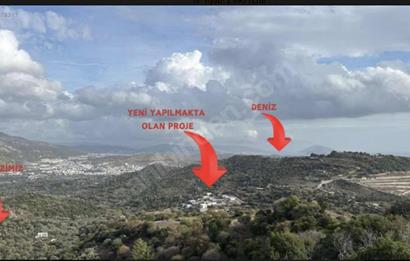 Bodrum Gürecede 12.547 m² Tek Tapu Tarla | Yatırımlık Fırsat